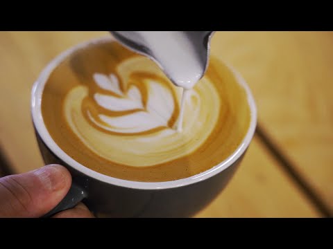 Vidéo: Les végétaliens peuvent-ils boire du kopi luwak ?