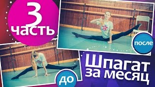 3 Часть. ПОПЕРЕЧНЫЙ ШПАГАТ ЗА 30 ДНЕЙ. Шпагат за 20 мин в день. Поперечный шпагат для начинающих. 3 Часть. ПОПЕРЕЧНЫЙ ШПАГАТ ЗА 30 ДНЕЙ. Шпагат за 20 мин в день. Поперечный шпагат для начинающих.