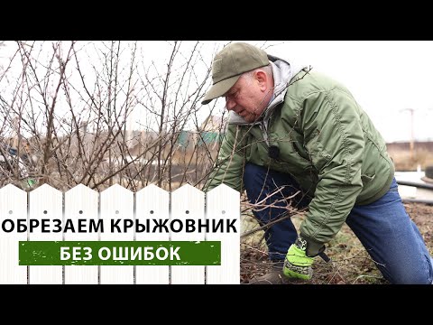 Videó: Hogyan Takarjuk Be A Növényeket Télen