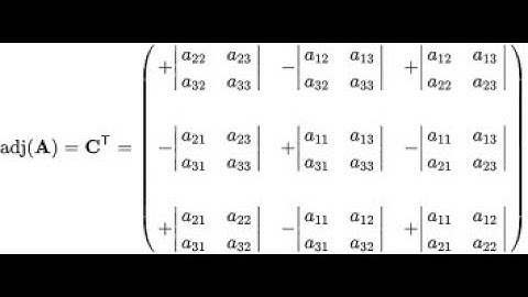 C++ | Adjoint of 2x2 and 3x3 Matrix
