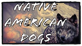 Native American Dogs