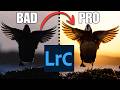 How to Edit Bird Photos in Lightroom (Step-by-Step Wildlife Editing Tutorial)