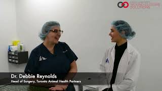 Dr. Reynolds' Experience Using MEGADYNE MEGA SOFT screenshot 3