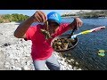 COMO PESCAR CAMARONES y COCINAR EN EL RÍO USANDO LAS MANOS - Pesca y Cocina