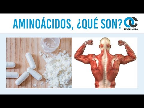 Video: ¿Qué hace un aminoácido?