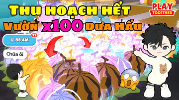 Play Together | Mình Đã Thu Hoạch Hết X100 Dưa Hấu Khổng Lồ Để Chinh Phục Huy Hiệu Vàng Và Cái Kết