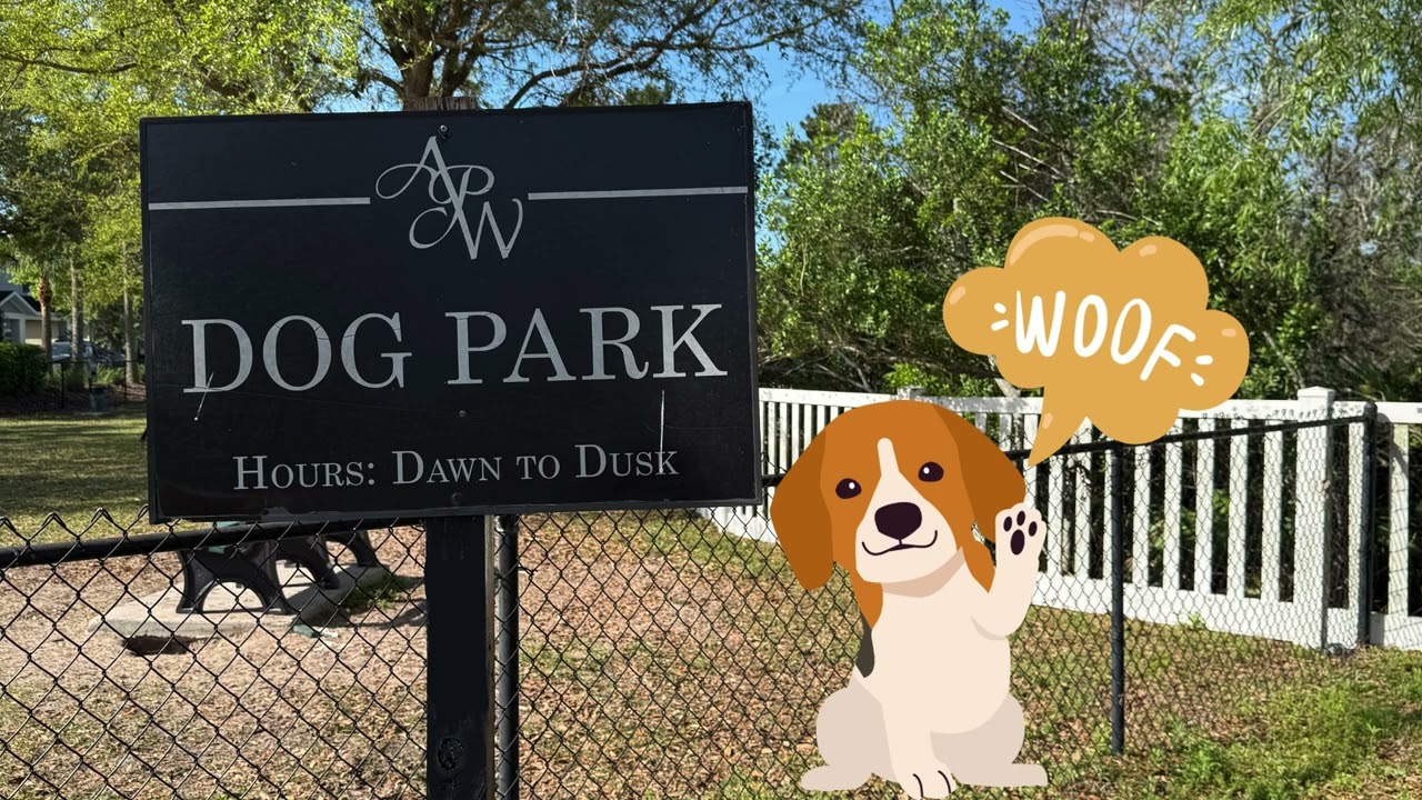 The Flats at Avalon Park Wesley Chapel