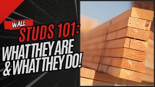 Wall Studs 101: What They Are and Why They Matter!