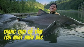 A Vietnamese Local