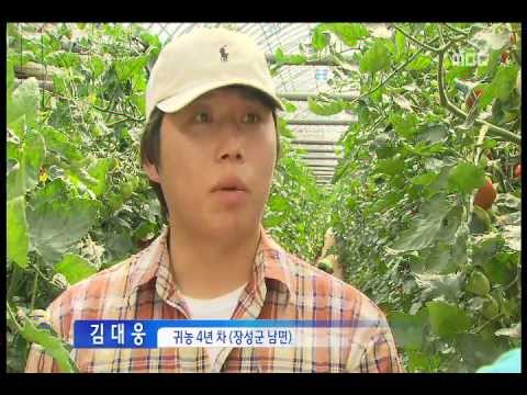 [광주MBC뉴스 기획보도] 젊은 농군의 꿈 18  아로니아 가공으로 승부 김대웅씨