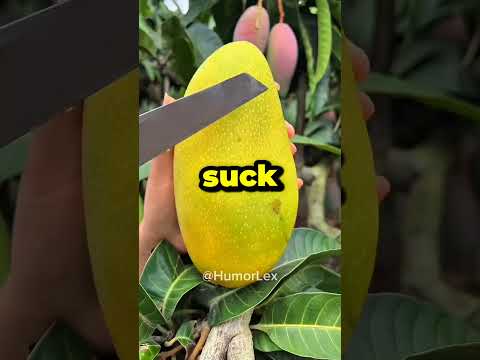 I M Not Good At Times SaifShawaf Funny Fyp 