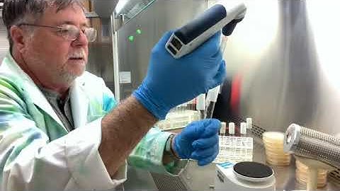 Lab 7 (Part 2 of 6) Calibration Graph & Serial Dilution