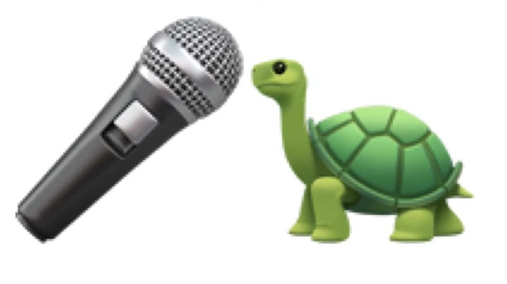 Turtle Song Persian Language 2 0 / Testo Taylan DIM DIS ŞARKISI