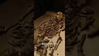 Как работает сжигание  #short