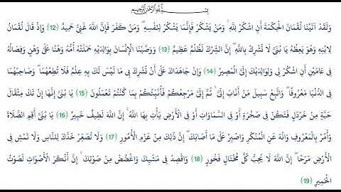 سورة لقمان   الشيخ مشاري العفاسي من12 الى 19