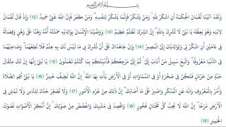 سورة لقمان   الشيخ مشاري العفاسي من12 الى 19