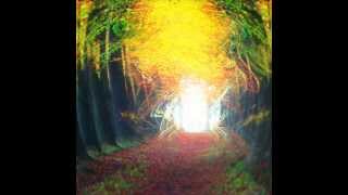 Montti - Justice