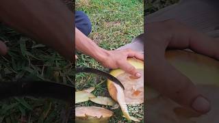 বাঙালি ফল 🥰🤌 #youtube #trending #bangali #taal #fall #youtube #viral #shorts #video