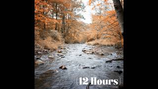 Babbling Brook Softly Streaming | Sleep Sound (12 Hours)