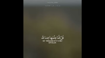 اسلام صبحي حالات واتساب | يسالك الناس عن الساعة ... | اكتب اسم قارئ تحب صوته🌹❤