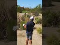 Max Homa cannot be stopped #shortsfeed #bobdoessports #shorts #golf