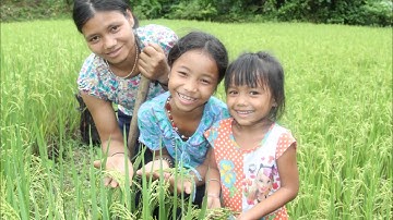 Bánh Sừng Trâu Từ Tay Mẹ