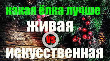 КАКАЯ ЁЛКА ЛУЧШЕ ? ИСКУССТВЕННАЯ VS ЖИВАЯ |CD|