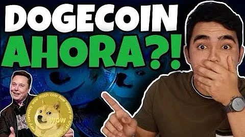 ¿Qué podría ser Dogecoin dentro de 5 años?