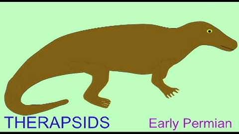PL EXAM 2: GROUPS OF FOSSIL REPTILES.avi