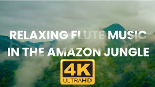 Relaxing Flute Music In The Amazon Jungle - Birds Songs, Water  Sounds For Relaxation, Study, Yoga