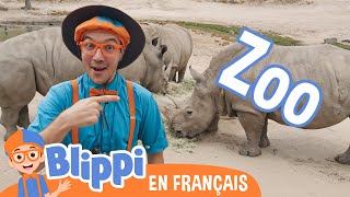 Le zoo de San Diego | Blippi en français | Vidéos éducatives pour enfants