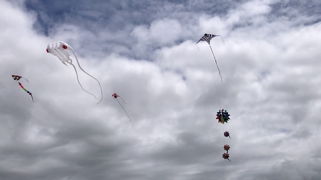 KITE DAY EUREKA CALIFORNIA USA YouTube