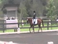 Vinny northwest dressage championships region 6 sep 2010