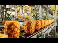 How millions of honey pineapples are harvested and canned  amazing process