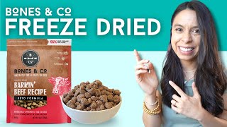 BEST FreezeDried Dog Food Tips!