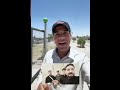 حته نلاكي ظعون ام عون