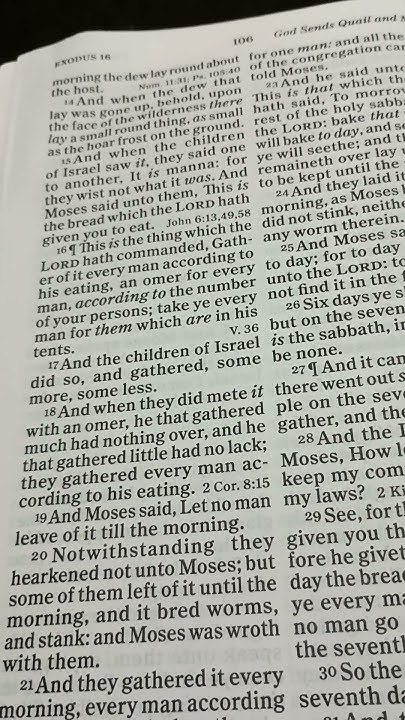 Bible Reading Exodus Chapter 16 Verse 16 18 YouTube bible-reading-exodus-chapter-16-verse-16-18-youtube