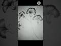 how to draw flower 🌷 realistic pencile drawing #shortfeed #pencileshading #pencileflowerdrowing