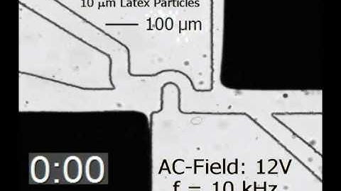 Dielectrophoresis Explained