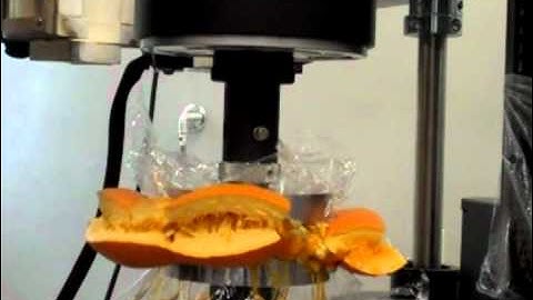 Compression Testing Pumpkins