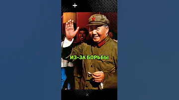 Почему исчез ЧЁРНЫЙ НОСОРОГ?