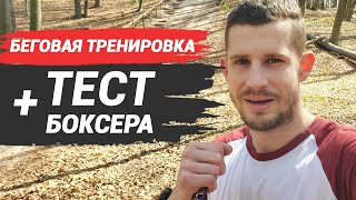 Тренировка боксера в лесу - скоростная выносливость и тест для проверки себя