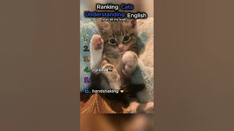Watch the video about Ranking Cats Understanding English 🤣 #funny #shorts