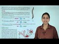 Ch 4 | Good Grade Books | Science | Class 5 | Human Nervous System | For Children