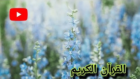 ترتيل القران الكريم من سوره الاسراء من أية 9 إلى 25 و سورة الغاشية بصوت خاشع