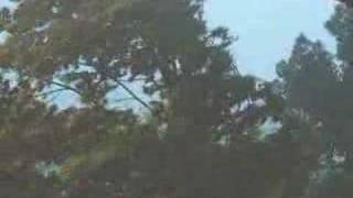 Thunderstorm rips through Otoe County