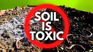 Stop killing your worms: The 7 soil additions destroying raised beds 