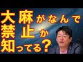 ●堀江貴文:徹底解説 大麻がなんで禁止か知ってる? 利権だからねwww