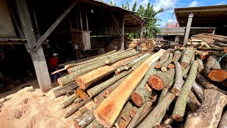 A SURPRISING Discovery While Sawing a 5-Meter-Length, 500-Year-Old Log 