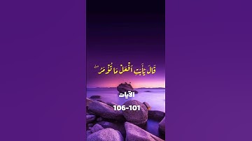 تلاوة هادئه من سورة الصافات - ناصر القطامي